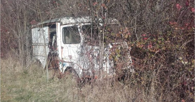 « Quand un arbre tombe, on l’entend ; quand la forêt pousse, pas un bruit. »(proverbe africain)