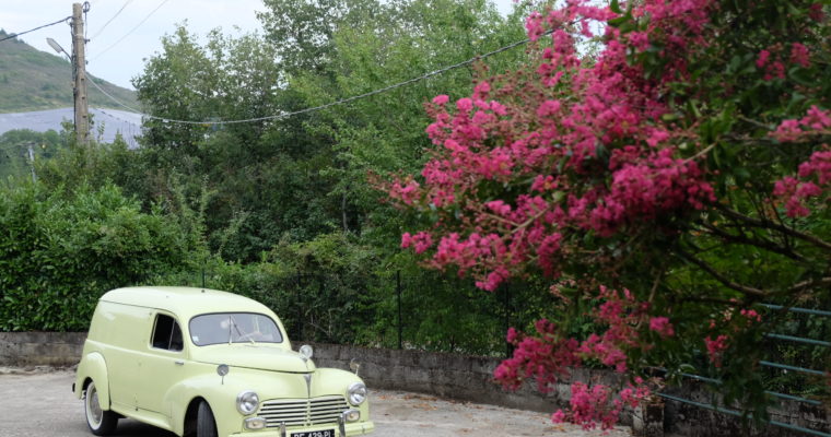 « Les roues, les ressorts, les mouvements sont cachés ; rien ne paraît d’une montre que son aiguille, qui insensiblement s’avance et achève son tour : image du courtisan, d’autant plus parfaite qu’après avoir fait assez de chemin, il revient souvent au même point d’où il est parti. » Les Caractères J. de la Bruyère